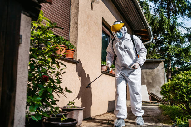 Best Cockroach Control Services  in Vaeboro, NC