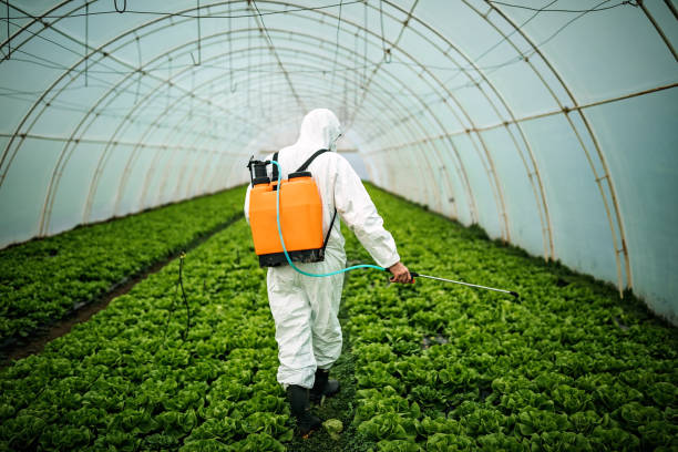 Best Pest Control Near Me in Vanceboro, NC