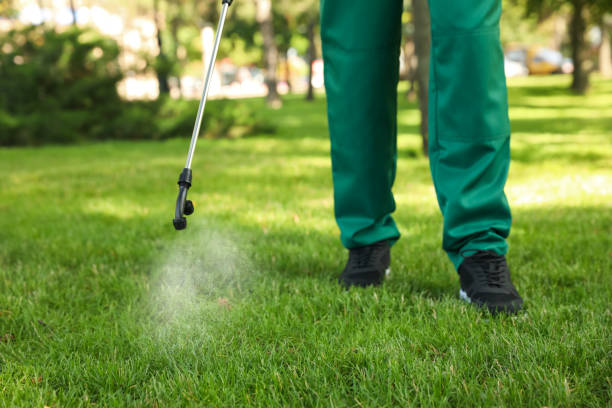 Reliable Vanceboro, NC Pest Control Solutions