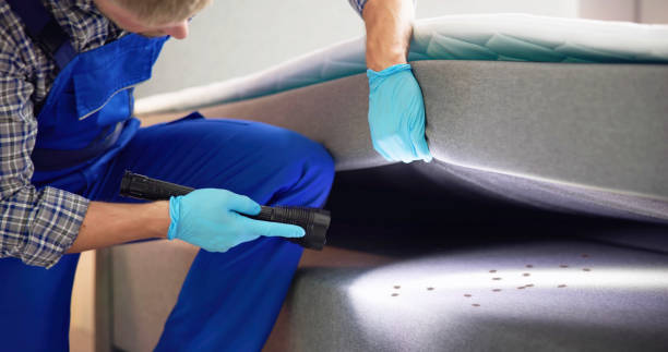 Best Termite Control Services  in Vaeboro, NC