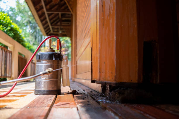Best Best Pest Control Companies  in Vaeboro, NC