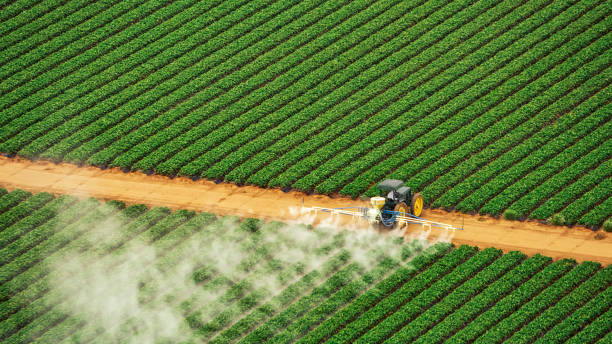 Best Best Pest Control Companies  in Vaeboro, NC