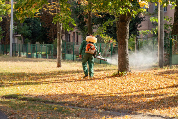Best Pest Removal Services  in Vaeboro, NC
