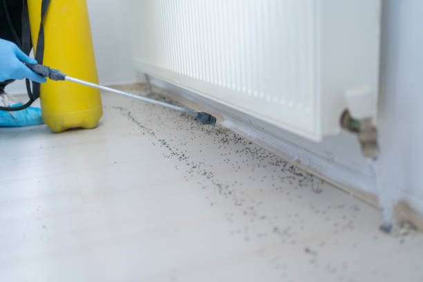 Best Best Pest Control Companies  in Vaeboro, NC