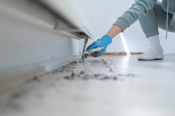 Pest Control for Restaurants in Vanceboro, NC